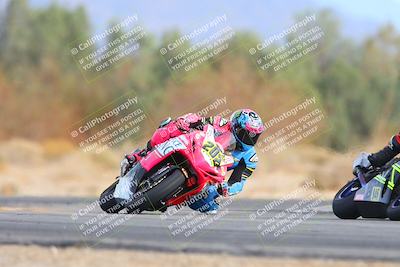 media/Feb-08-2025-CVMA (Sat) [[fcc6d2831a]]/Race 11-Amateur Supersport Open/